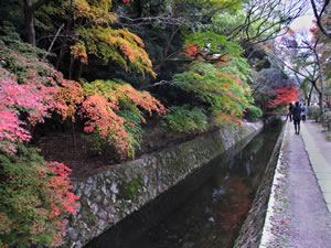 哲学の道の紅葉2