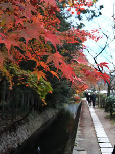 哲学の道の紅葉3