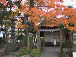 朝日焼窯芸資料館の紅葉