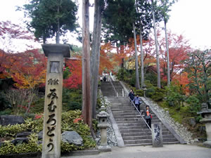 三室戸寺の紅葉4