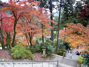 三室戸寺の紅葉6