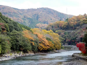 白川もみじ谷の紅葉1