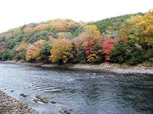 白川もみじ谷の紅葉3