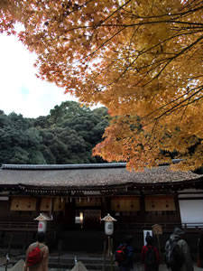 宇治上神社の紅葉3