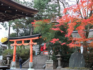 宇治神社の紅葉1