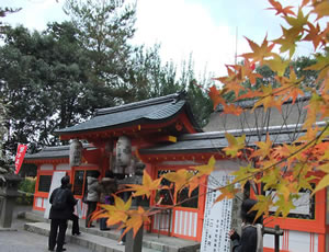 宇治神社の紅葉3