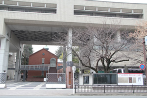 大谷大学博物館