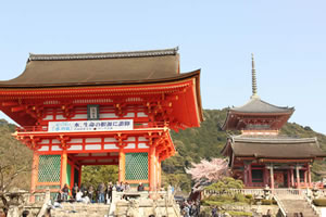 清水寺の桜2