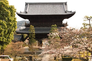 金戒光明寺の桜3