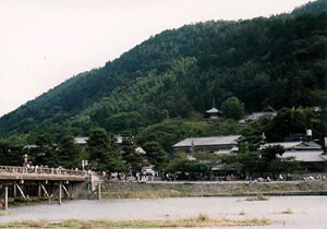 嵐山公園の写真