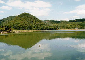 広沢池の写真