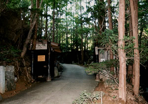 大河内山荘の写真