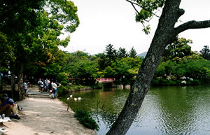 大沢の池の写真
